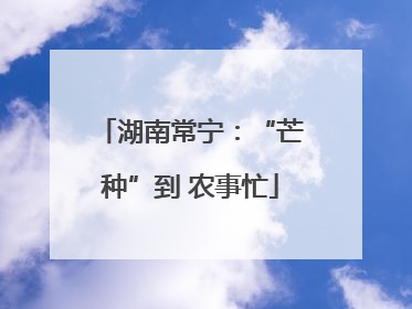 湖南常宁：“芒种”到 农事忙