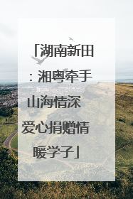 湖南新田：湘粤牵手山海情深 爱心捐赠情暖学子