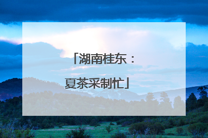 湖南桂东：夏茶采制忙