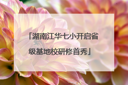 湖南江华七小开启省级基地校研修首秀