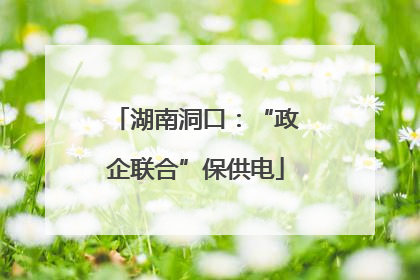 湖南洞口：“政企联合”保供电