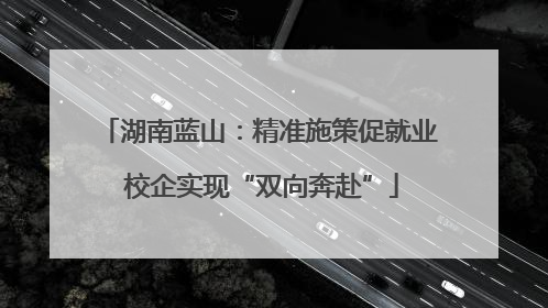 湖南蓝山：精准施策促就业 校企实现“双向奔赴”