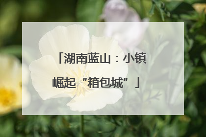 湖南蓝山：小镇崛起“箱包城”