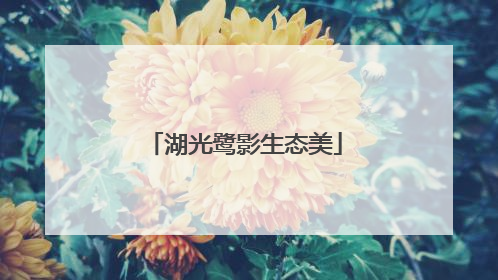湖光鹭影生态美