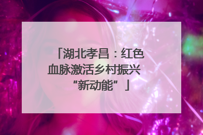 湖北孝昌：红色血脉激活乡村振兴“新动能”