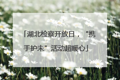 湖北检察开放日，“携手护未”活动超暖心