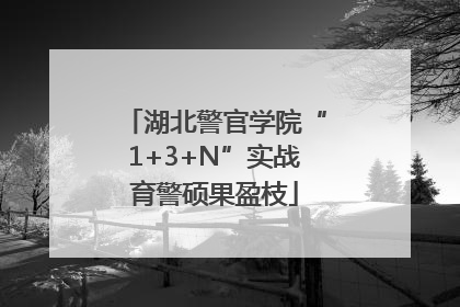 湖北警官学院“1+3+N”实战育警硕果盈枝