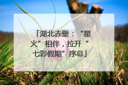 湖北赤壁：“星火”相伴，拉开“七彩假期”序幕
