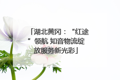 湖北黄冈：“红途”领航 知音物流绽放服务新光彩