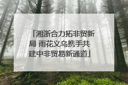 湘浙合力拓非贸新局 雨花义乌携手共建中非贸易新通道