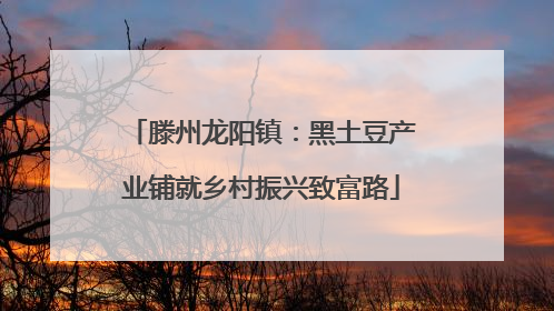 滕州龙阳镇：黑土豆产业铺就乡村振兴致富路