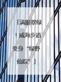 满眼翠绿！威海步道变身“绿野仙踪”
