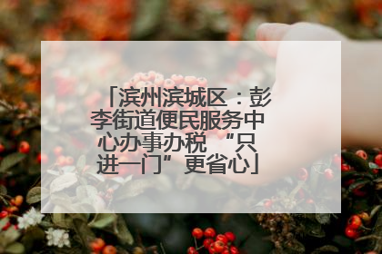 滨州滨城区：彭李街道便民服务中心办事办税 “只进一门”更省心