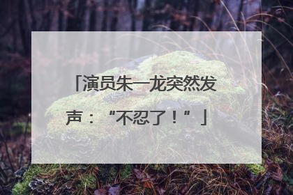 演员朱一龙突然发声：“不忍了！”