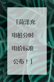 菏泽充电桩分时电价标准公布！