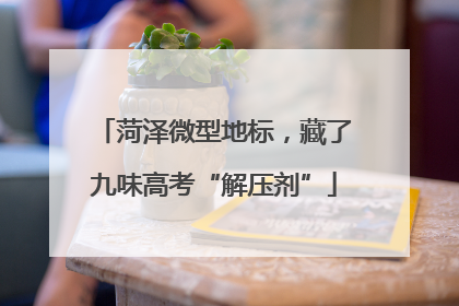 菏泽微型地标，藏了九味高考“解压剂”