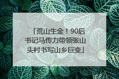 荒山生金！90后书记马传力带领张山头村书写山乡巨变