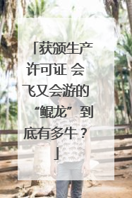 获颁生产许可证 会飞又会游的“鲲龙”到底有多牛？