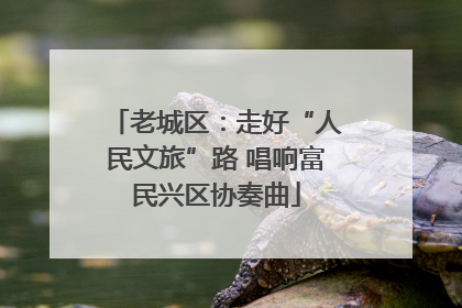 老城区：走好“人民文旅”路 唱响富民兴区协奏曲
