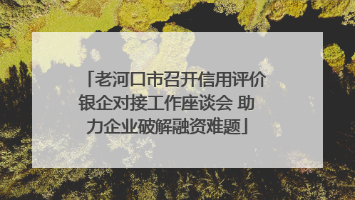 老河口市召开信用评价银企对接工作座谈会 助力企业破解融资难题