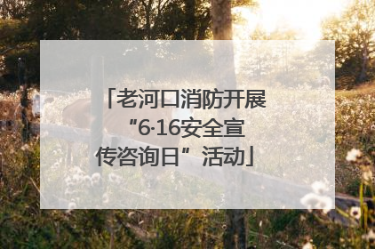 老河口消防开展“6·16安全宣传咨询日”活动