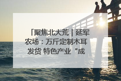 聚焦北大荒｜延军农场：万斤定制木耳发货 特色产业“成绩单”亮眼