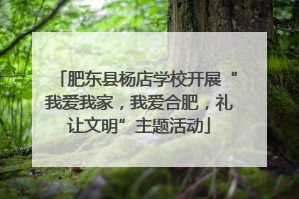 肥东县杨店学校开展“我爱我家，我爱合肥，礼让文明”主题活动