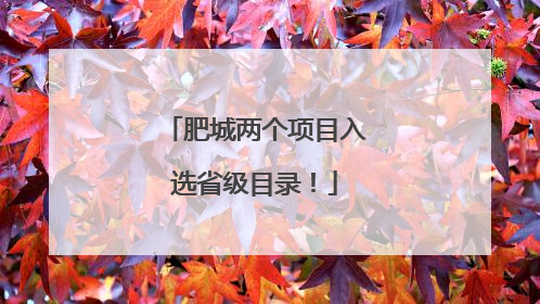 肥城两个项目入选省级目录！