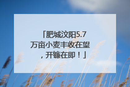 肥城汶阳5.7万亩小麦丰收在望，开镰在即！