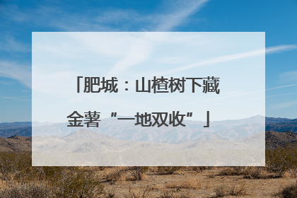 肥城：山楂树下藏金薯“一地双收”