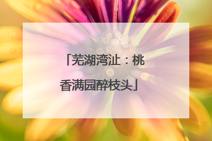 芜湖湾沚：桃香满园醉枝头