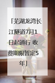 芜湖龙湾长江隧道7月1日起通行 收费期限暂定5年