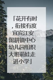 花开有时，衔接有度 宜宾江安留耕镇中心幼儿园组织大班萌娃走进小学