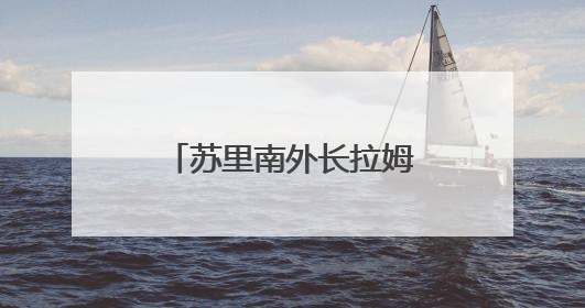 苏里南外长拉姆丁正式出任美洲国家组织秘书长