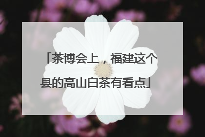 茶博会上，福建这个县的高山白茶有看点