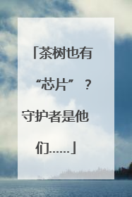 茶树也有“芯片”？守护者是他们……