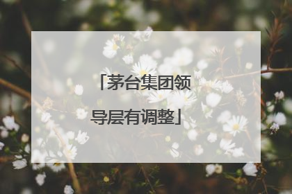 茅台集团领导层有调整