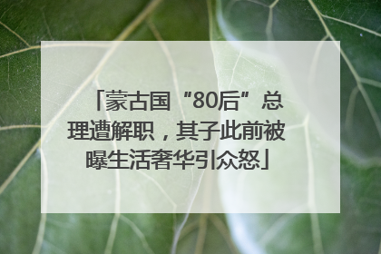 蒙古国“80后”总理遭解职，其子此前被曝生活奢华引众怒
