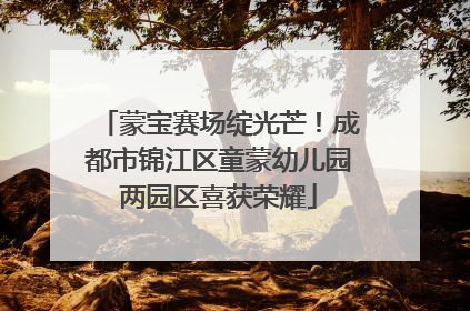 蒙宝赛场绽光芒！成都市锦江区童蒙幼儿园两园区喜获荣耀