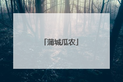 蒲城瓜农