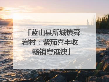 蓝山县所城镇舜岩村：紫茄喜丰收 畅销粤港澳