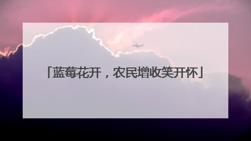 蓝莓花开，农民增收笑开怀