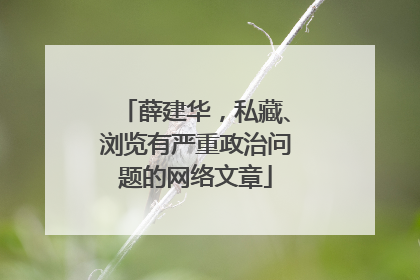 薛建华，私藏、浏览有严重政治问题的网络文章