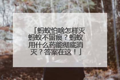 蚂蚁怕啥怎样灭蚂蚁不留痕？蚂蚁用什么药能彻底消灭？答案在这！