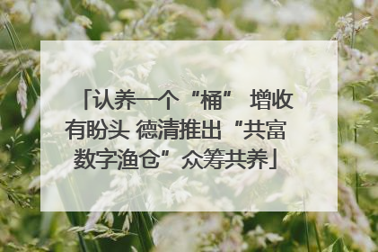 认养一个“桶” 增收有盼头 德清推出“共富数字渔仓”众筹共养