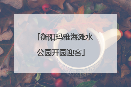 衡阳玛雅海滩水公园开园迎客