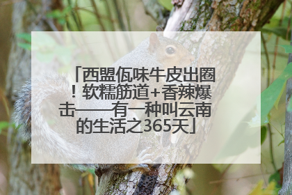 西盟佤味牛皮出圈！软糯筋道+香辣爆击——有一种叫云南的生活之365天