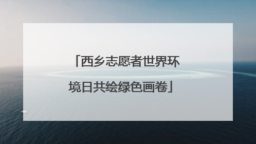 西乡志愿者世界环境日共绘绿色画卷