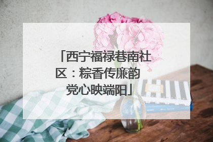 西宁福禄巷南社区：粽香传廉韵 党心映端阳