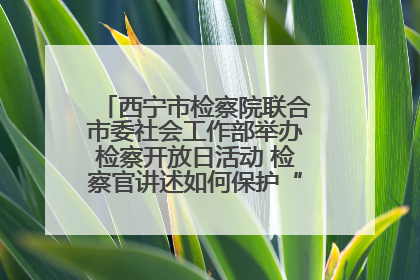西宁市检察院联合市委社会工作部举办检察开放日活动 检察官讲述如何保护“少年的你”